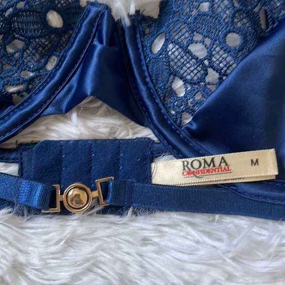 Roma Confidential Embroidered Lace and Satin Bra - Picture 6 of 7